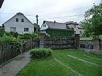 Třibřichy